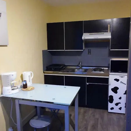 Apartment Studio Le Chantemerle Ugine
